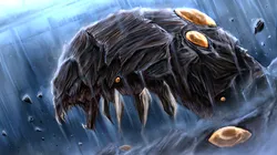 ordeal of amber, project moon, limbus company, hen na, post #9707