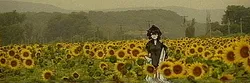 carmen (project moon), project moon, sptiasan, post #4966